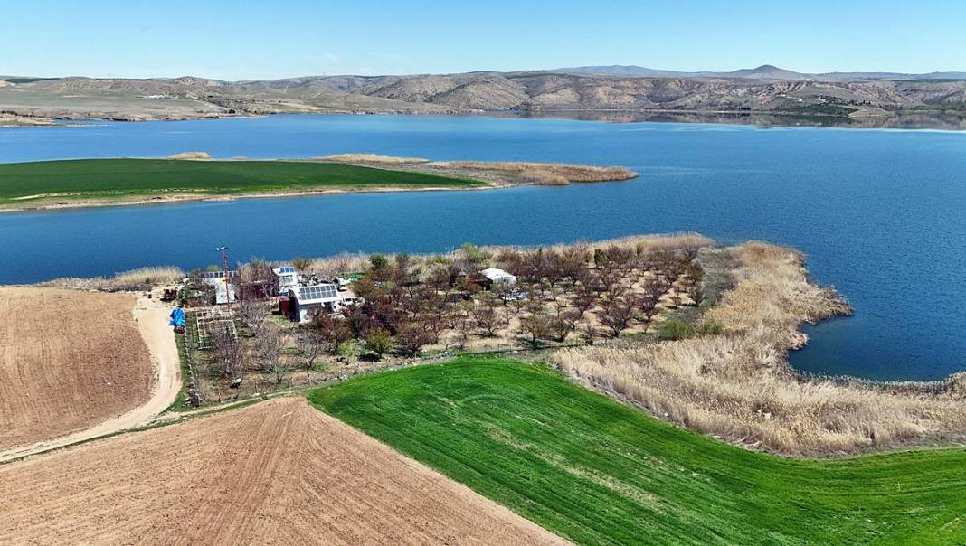 Tarımda tarihin en büyük felaketi yaşanıyor! Meyve, sebze fiyatlarında rekor artış yaşanacak 36